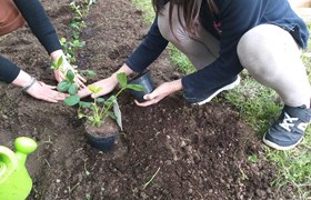 Sk Foundation Volunteers Spotlight