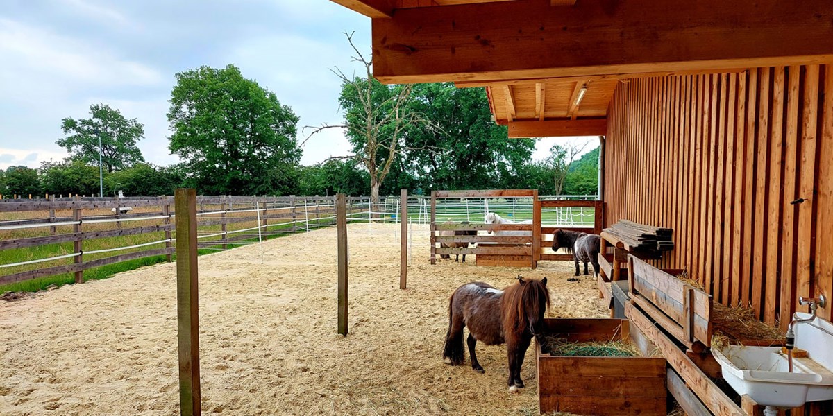 Smurfit Kappa Foundation Germany